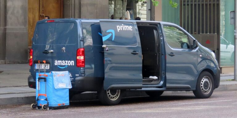 Amazon Workers Get Paid Day Off After Reporting Bed Bug