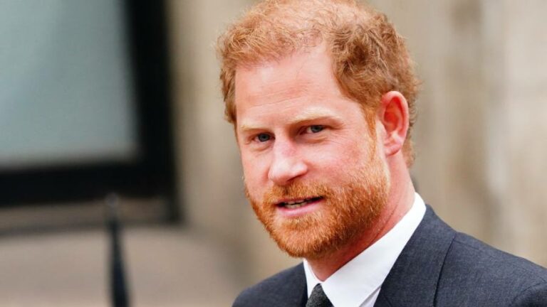 Prince Harry subject to illegal activity from childhood, High Court told