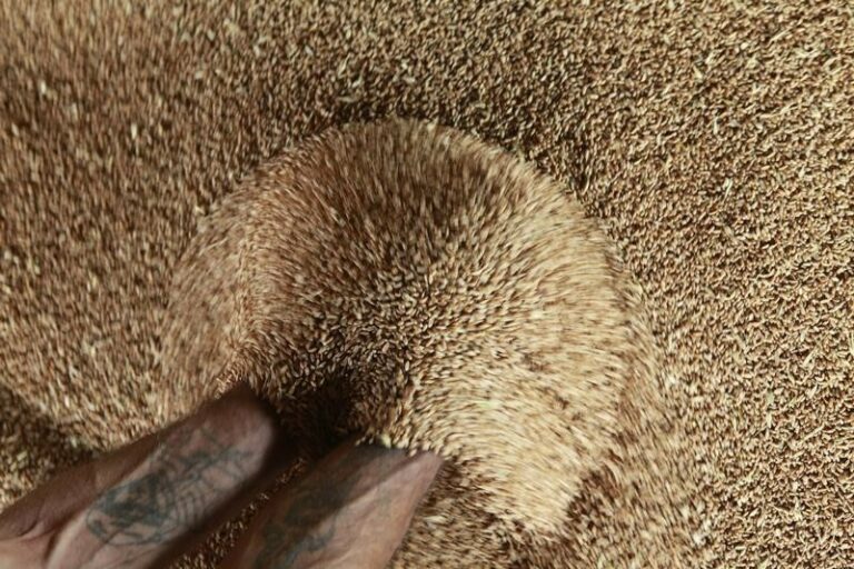 Exclusive-VTB to sell one of Russia’s biggest grain traders, Demetra-Holding, CEO Kostin says By Reuters