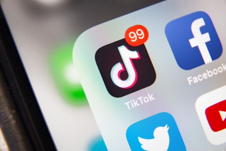 Tax Court Case Shows What TikTok Isn’t Telling Taxpayers About Business Expenses