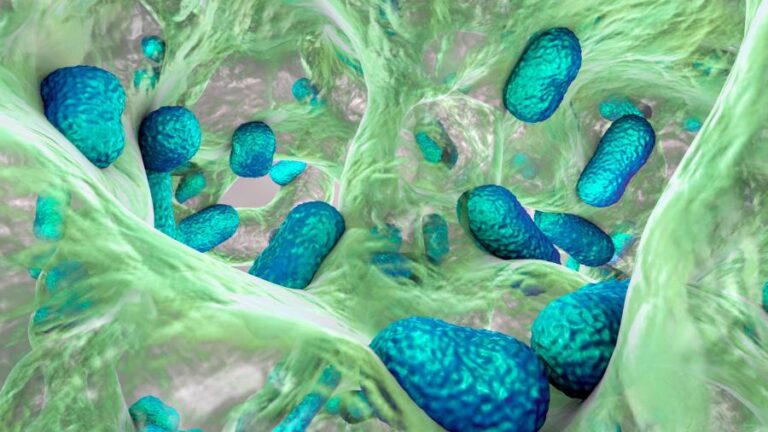 UK moves to combat antimicrobial resistance with overseas investment