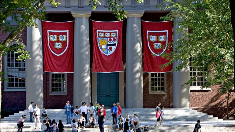 Harvard law student linked to statement blaming Israel denounces contents, says she didn’t read it