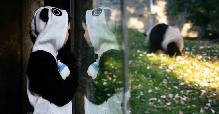 As Pandas Leave D.C., Is Panda Diplomacy Over?