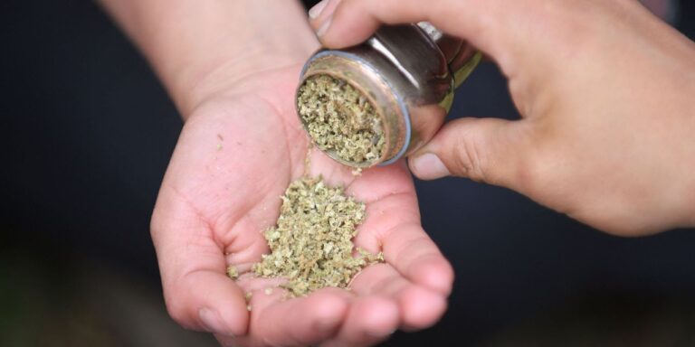 Ohio voters could legalize marijuana use next week, polls show