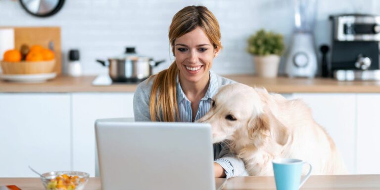 CreditStrong Credit Builder Loan Review