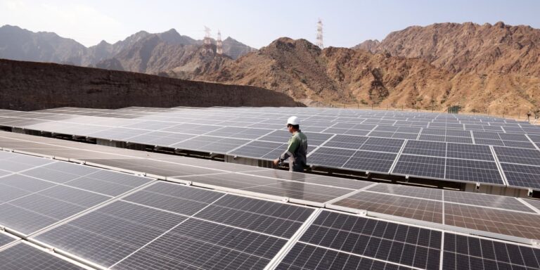 Why solar energy will continue to lead among renewable energy sources in 2024