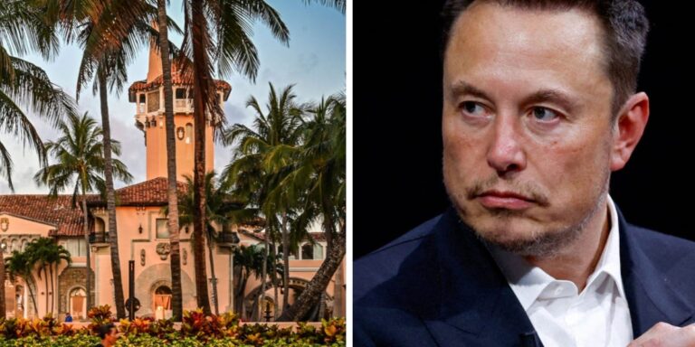 Elon Musk Would Pay $1B for Mar-a-Lago, Trump Expert to Say