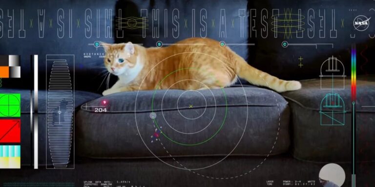 NASA Lasers Stream Ultra-HD Cat Video From Deep Space, Faster Than the Internet