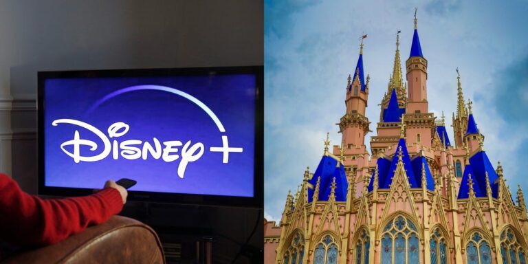 Family Buys $10K Disney+ Gift Cards Thinking They Could Be Used at Theme Parks