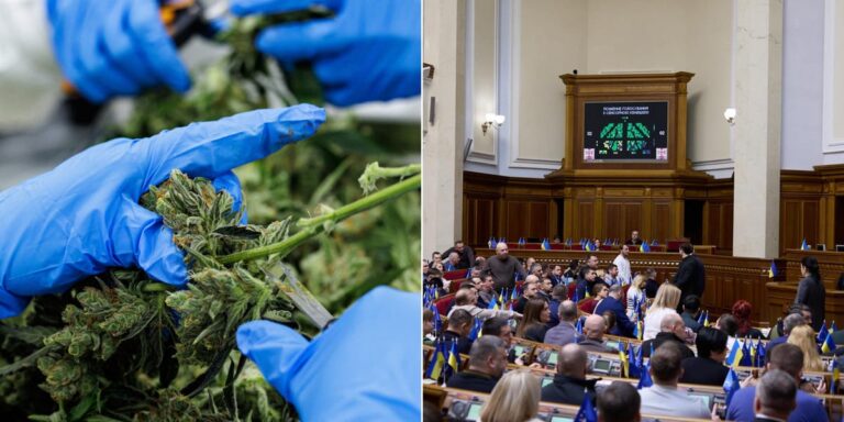 Ukraine Is Legalizing Medicinal Marijuana to Treat Stress From the War