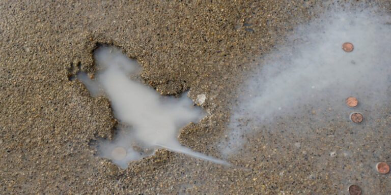 Chicago ‘Rat Hole’ Was Restored. Now, It’s a Place of Holy Rat-Rimony.