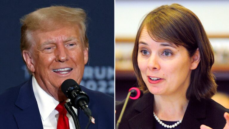 Maine Democrat who barred Trump from ballot claimed voter ID laws were ‘rooted in White supremacy’