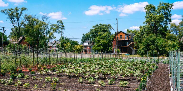 Study on Urban Farmings’ Carbon Footprint Faces Backlash