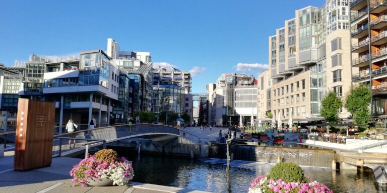 Strict Working Hours and No Online Shopping